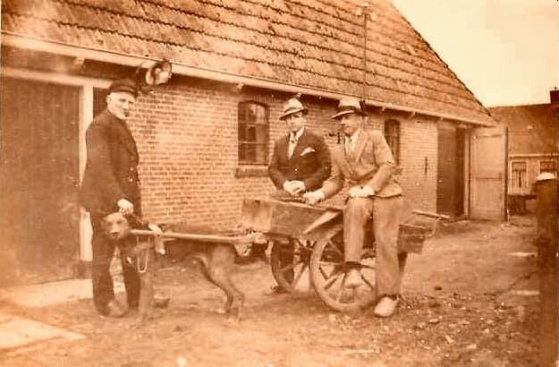 1920 - v.l.n.r. Boele Kooistra, Benny van der Velde en Jouke Kooistra met de hondenkar achter de boerderij [collectie Facebook Evert Feenstra, Informatiecentrum Historisch Hallum]
